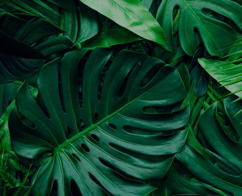Elite Therapy - Massage and Beauty Therapy in Rotorua